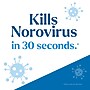CloroxPro Clorox EcoClean Disinfecting Cleaner Spray Bottle, 32 fl. oz. (60213)~#|#~52822572-C788-4DC6-B698EA6395CE2795_sc7