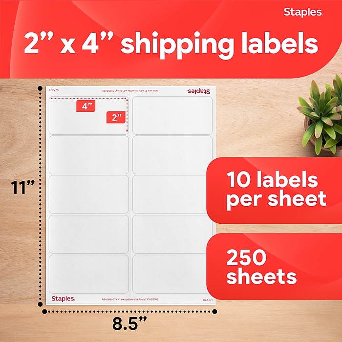 Staples Laser/Inkjet Shipping Labels, 2