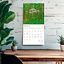 2026 BrownTrout Georgia Wild & Scenic 12" x 12" Monthly Wall Calendar (9798330703340)~#|#~52CC2690-4E33-4E96-8925DA4C2BC66C62_sc7