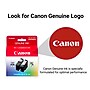 Canon PG-295XL/CL-286XL Black/Tri-Color High Yield Ink Cartridges, 2/Pack (7164C004)~#|#~52E255AC-741F-4281-96975A5C66964C3E_sc7