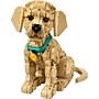 LEGO Icons Golden Retriever Puppy, 2102 Pieces (11384)~#|#~52FF50F7-4485-410B-A8D693FCBD9644B2_sc7