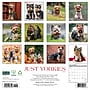 2027 Willow Creek Yorkies 12" x 12" Monthly Wall Calendar, Assorted Colors (63118)~#|#~5303C821-4B99-4801-803F494FEC891EA4_sc7