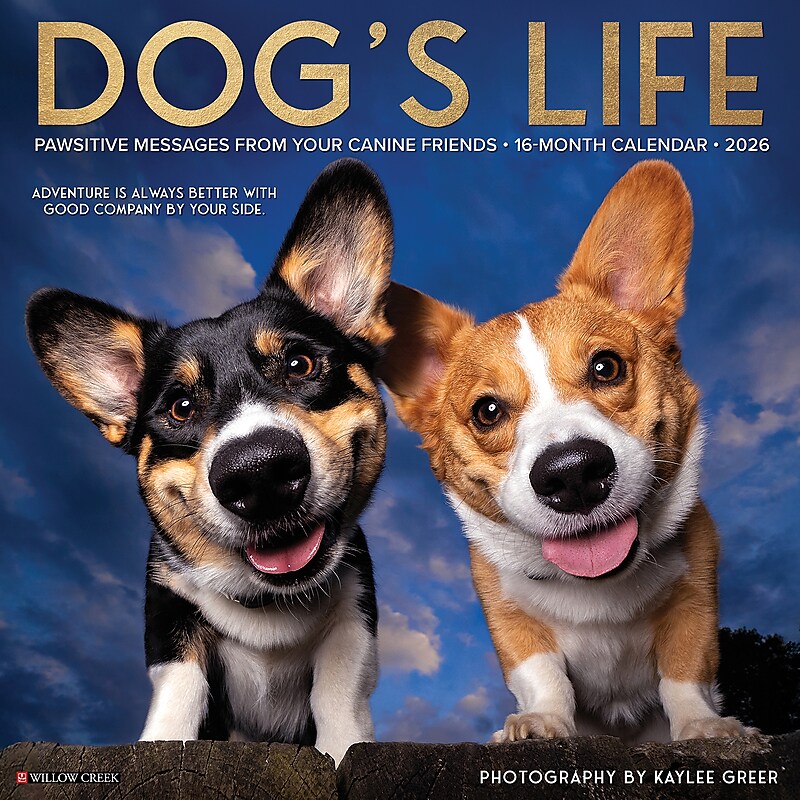 2026 Willow Creek Dog's Life 12" x 12" Monthly Wall Calendar (51009) image 1