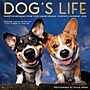 2026 Willow Creek Dog's Life 12" x 12" Monthly Wall Calendar (51009)~#|#~5309CCBA-11B4-40A5-AC3157F84B6E9B37_sc7