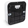 Alpine Industries Hemlock 220V Automatic Hand Dryer, White (400-20-WHI)~#|#~530B073D-E68B-43F8-AB7366D53565AB54_sc7