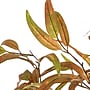 Nearly Natural 5' Autumn Wispy Eucalyptus Artificial Fall Tree (T4741)~#|#~530CB4DA-00C6-439C-9C7516ADA59581DE_sc7