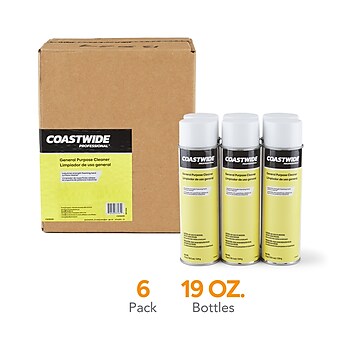 Coastwide Professional™ General-Purpose Cleaner, 19 Oz., 6/Carton (CW58495-A)