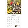 2026 BrownTrout Feathered Friends 12" x 12" Monthly Wall Calendar (9781773728780)~#|#~531706DF-CCF9-4034-A944404368F3990E_sc7