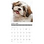 2027 Willow Creek Shih Tzu Puppies 12" x 12" Monthly Wall Calendar, Assorted Colors (62319)~#|#~531896BC-A8D6-48B8-909181313D6138DB_sc7