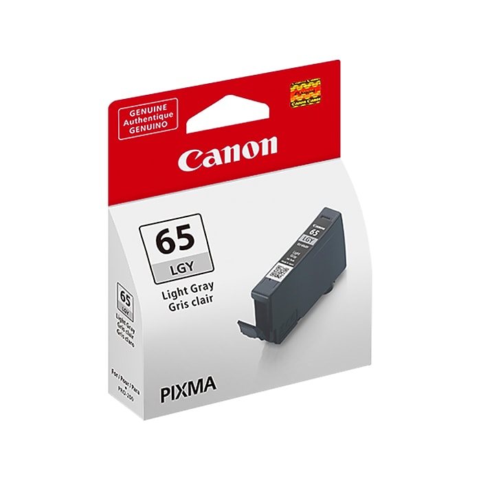 Canon 65 LGY Light Gray Standard Yield Ink Cartridge (4222C002