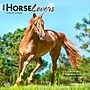2026 BrownTrout Horse Lovers 12" x 12" Monthly Wall Calendar (9798330703739)~#|#~533B847A-31F2-4B44-8878E9868F2CB36E_sc7