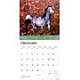 2026 BrownTrout Horse Lovers 12" x 12" Monthly Wall Calendar (9798330703739)~#|#~53438D77-8283-49DB-8F5A301A576D8FED_sc7