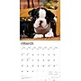 2026 BrownTrout Boston Terrier Puppies 12" x 12" Monthly Wall Calendar (9798330702596)~#|#~53469C0D-4F9D-4443-B54408E80AD5B61C_sc7