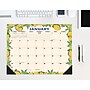 2027 Willow Creek Mediterranean Moments 22" x 17" Monthly Desk Pad Calendar, Assorted Colors (66584)~#|#~5357A55F-6DB1-4FC4-83C6983F32F0F56E_sc7