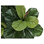 Monarch Specialties Inc. Fiddle in Pot (I 9541)~#|#~53644208-8015-4CAB-A53043D71B497C6A_sc7