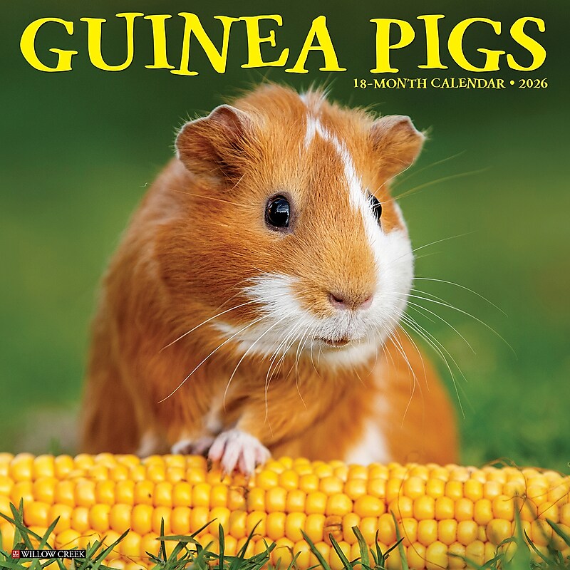 2026 Willow Creek Guinea Pigs 12" x 12" Monthly Wall Calendar (51405) image 1