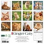 2026 Willow Creek Ginger Cats 12" x 12" Monthly Wall Calendar (51269)~#|#~53AFD022-4003-4C41-A3EC94BA3FF3CC11_sc7