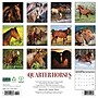 2026 Willow Creek American Quarter Horses 12" x 12" Monthly Wall Calendar (49853)~#|#~53C4C93D-5A2F-4067-828803AC85E7759E_sc7