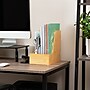Mind Reader 3-Compartment Desk Organizer, Brown (BMAG-BRN)~#|#~53CDA31B-FE54-45A1-99B98D3E231560B7_sc7