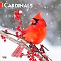 2026 BrownTrout Cardinals 12" x 12" Monthly Wall Calendar (9798330702749)~#|#~53D50989-C35B-499A-979DE62AED318309_sc7