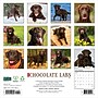 2027 Willow Creek Chocolate Labs  12" x 12" Monthly Wall Calendar (59692)~#|#~53E3A745-2AC0-4E47-A295C1249ED7BE25_sc7