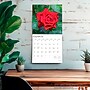 2026 BrownTrout Roses 12" x 12" Monthly Wall Calendar (9798330705382)~#|#~53F523E7-F85E-4BCF-B192F50591E36DED_sc7