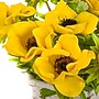 National Tree Company 10" Yellow Anemone Flower Bouquet in White Basket (MT81-01626GYW-1)~#|#~5403725A-1BD0-463C-8A33C70568B695DA_sc7