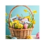 Mars Easter Basket Stuffers Milk Chocolate Candy Variety Bag, 46.3 oz., 120/Pieces (467626)~#|#~5403ACD1-A117-4101-836A7ECE8FE73193_sc7