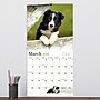 2026 TF Publishing Puppies 12" x 12" Monthly Wall Calendar, Multi (26-1025)~#|#~540BE76E-898E-472F-B9C3ED37E80E6795_sc7