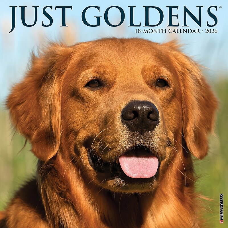 2026 Willow Creek Goldens 12" x 12" Monthly Wall Calendar (51320) image 1