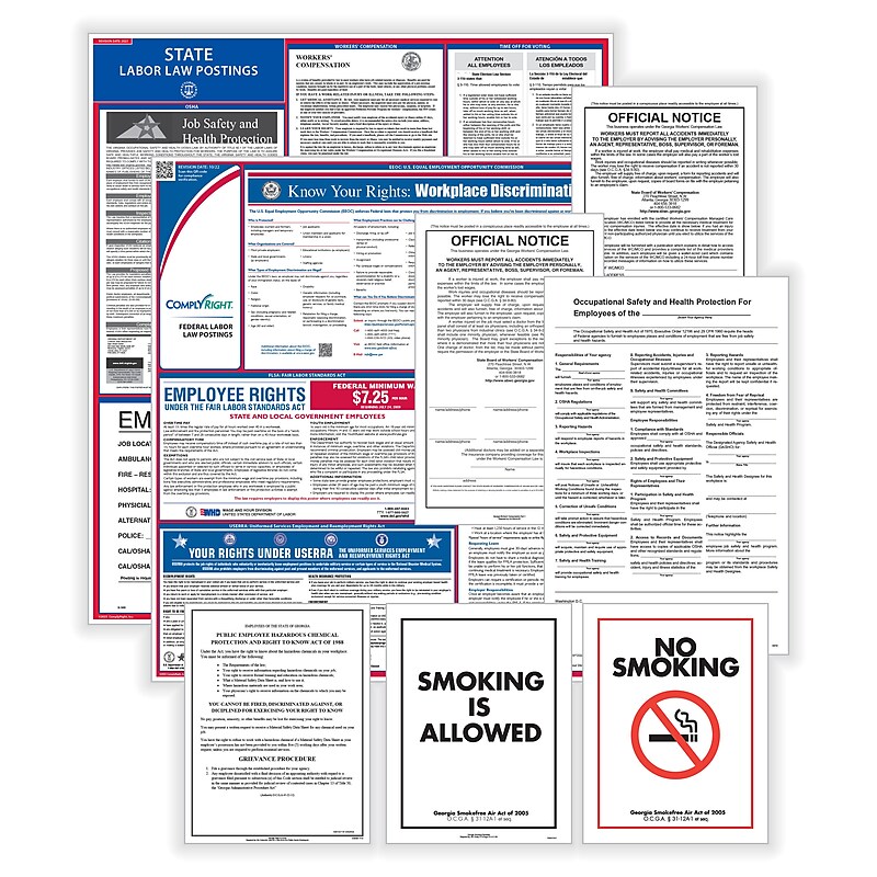 ComplyRight Federal, State and Public Sector (English) Labor Law Poster Set, Minnesota (EFEDSTCRPSECMN) image 1
