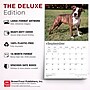2027 BrownTrout For the Love of American Pit Bull Terriers 14" x 12" Monthly Wall Calendar, Assorted Colors (9798330714759)~#|#~542A744D-F880-46A8-845DBB4A02680A42_sc7
