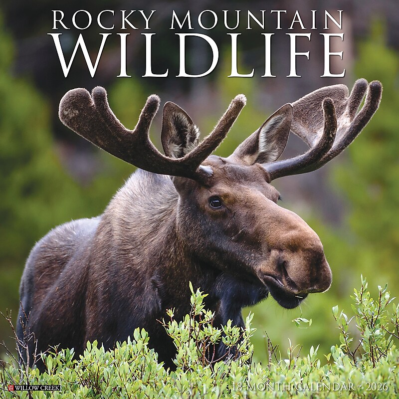 2026 Willow Creek Rocky Mountain Wildlife 12" x 12" Monthly Wall Calendar (52594) image 1