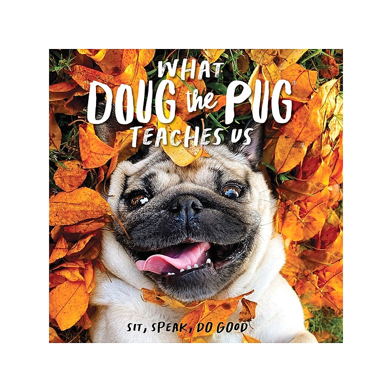What Doug the Pug Teaches Us, Hardcover image 1