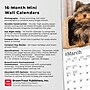2026 BrownTrout Yorkshire Terrier Puppies 7" x 7" Monthly Wall Calendar (9798330706433)~#|#~544E9952-6A64-4EA4-8F031B7803B445B2_sc7