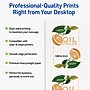 Avery Rectangle Flourished Edge Matte Blank Card, White, 100/Pack (19479399767)~#|#~5453143C-EA53-404F-B8BD9192C113B8A1_sc7