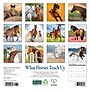 2026 Willow Creek What Horses Teach Us 7" x 7" Monthly Wall Calendar (53843)~#|#~54544126-E4D5-486F-911C0720734B4056_sc7