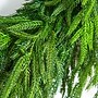 Nearly Natural Artificial Real Touch Norfolk Island Pine Wreath, 24" (W1396)~#|#~545E3991-A209-4812-83AC50104AF16339_sc7