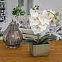 National Tree Company 21" White Orchid Flower in Wood Box (MT81-PH0354PWH)~#|#~546E9EE8-DA3B-4FC0-B16C4001426E0837_sc7