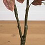 Nearly Natural 3.5' Autumn Dogwood Artificial Fall Tree (T4733)~#|#~54734303-E1EB-41AF-97A892E7E21EC34C_sc7