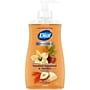 Dial Antibacterial Limited Edition Liquid Hand Soap, Toasted Hazelnut & Vanilla Scent, 11 oz. (1700035945)~#|#~54953893-8AB4-43E8-AB35C79C3C153E06_sc7
