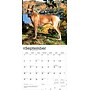 2026 BrownTrout Great Danes 12" x 12" Monthly Wall Calendar (9798330703524)~#|#~54A8AFCB-753B-4284-A2644C6E4FA20806_sc7