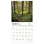 2027 TF Publishing Paths to God 11" x 12" Monthly Wall Calendar, Multicolored (27-1022)~#|#~54D6ED70-C98E-47DC-A69D636980813AB3_sc7