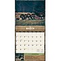2026 BrownTrout Mossy Oak Gamekeeper 12" x 12" Monthly Wall Calendar (9798330707744)~#|#~54DCBAF6-3B6D-4F99-AA93A04053C930C5_sc7