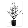 Nearly Natural Pre-Lit Artificial Halloween Black Spooky Twig Tree, 2' (T5233)~#|#~54DD5D67-86DF-4ED5-AE392D02E5F873F0_sc7