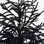 Nearly Natural Artificial Halloween Real Touch Black Norfolk Pine Christmas Tree, 5' (T5243)~#|#~54E2B0BF-BFAC-4EBA-88F2E063F56F174E_sc7