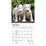 2027 BrownTrout For the Love of Puppies 7" x 7" Monthly Wall Calendar (9798330709748)~#|#~54F13EA7-BAAB-4B50-B1C3BA485A745164_sc7