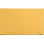 LUX Jewelers/Coupon Kraft Envelope (3 5/8 x 6) 50/Pack, 28lb. Brown Kraft (4340-BK-50)~#|#~55144AAC-03EF-4159-9341365EF2A7A5E4_sc7