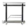 Household Essentials Glidez Multipurpose Metal 2-Tier Pull-Out/Slide-Out Storage Organizer, Chrome (HE1075)~#|#~551AEFE7-1779-4DD5-8126C84F1CCBA501_sc7
