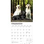 2026 BrownTrout Labrador Retrievers 12" x 12" Monthly Wall Calendar (9798330704224)~#|#~5523F668-1A1B-4826-9D7E42FE5CCBE977_sc7